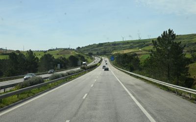 AVI e Autostrade per l’Italia: un nuovo servizio di soccorso animali sulla A26